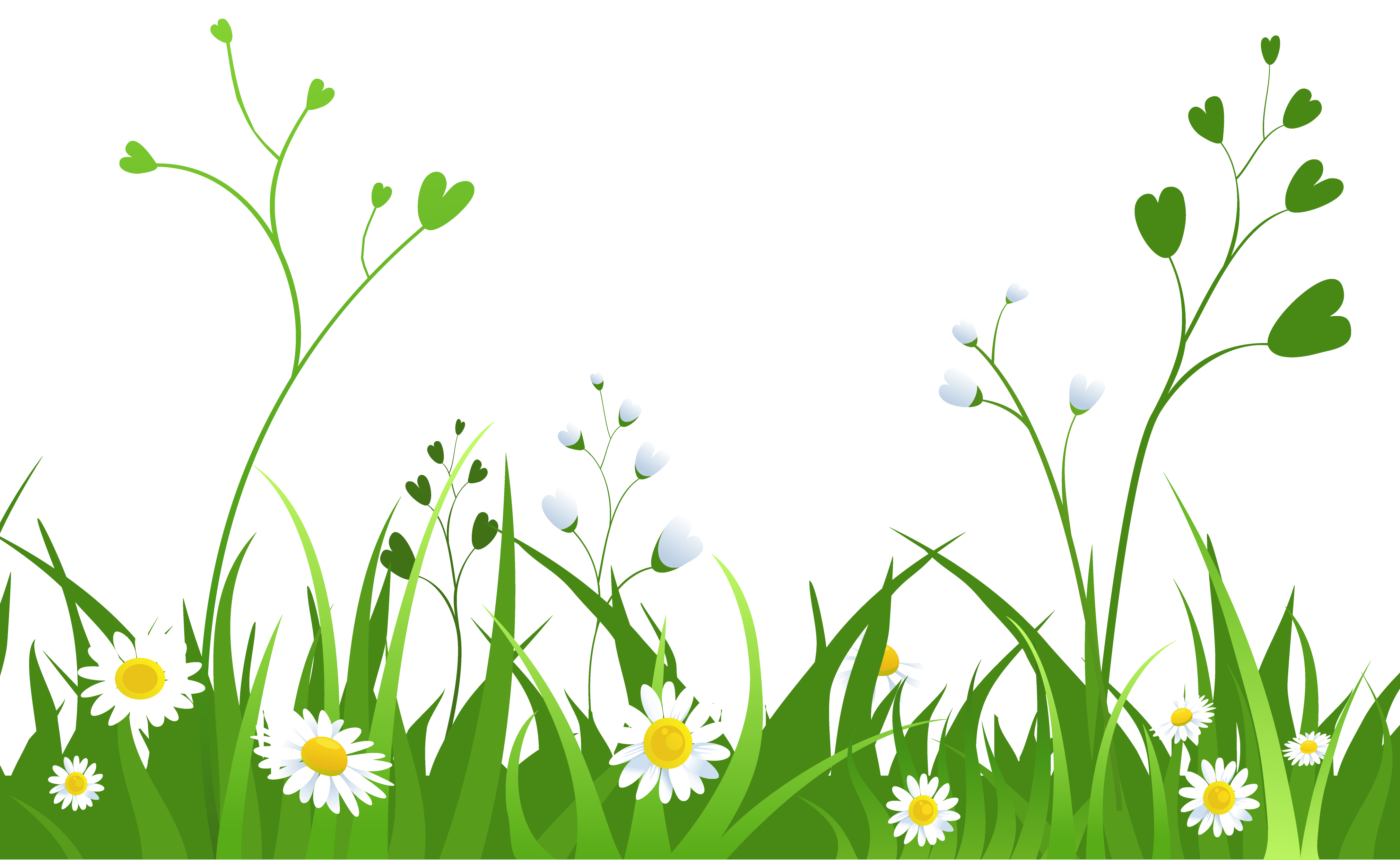 Daisies with Grass PNG Clipart Picture