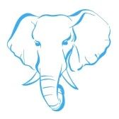 Elephant Head Drawing | Elephant ...