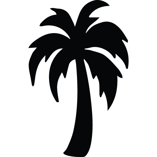 Coconut Tree Vector Icon, 44579