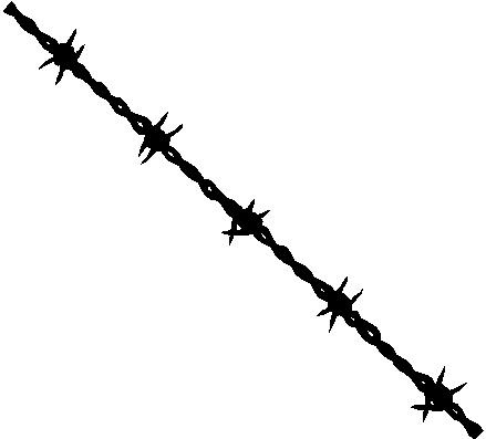 1000+ images about Barbed Wire