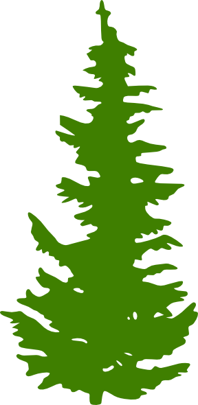 Evergreen Tree Clipart