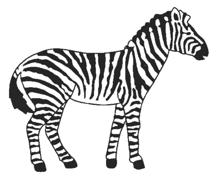 Free Coloring Pages Of Outline Of Zebra Zebra Color Page ...