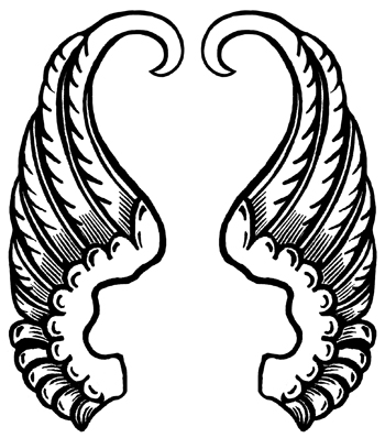 Large Angel Wings - Image 1