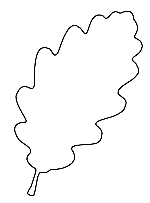 Leaf Outline Template