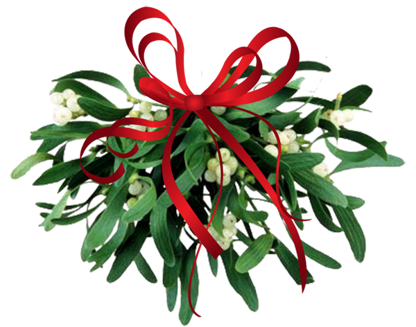 clipart christmas mistletoe - photo #34