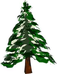 Snowy pine tree clipart