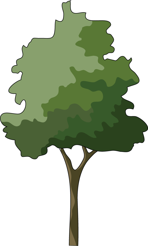 Illustrations Of Trees | Free Download Clip Art | Free Clip Art ...