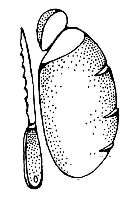 Coloring page Bread - img 17333.