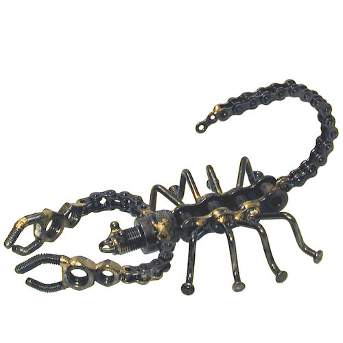 1000+ images about Black Emperor Scorpion