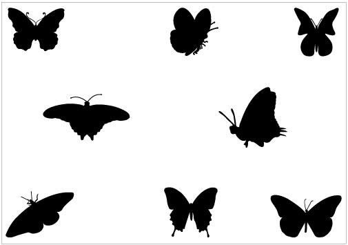 Graphics, Butterflies and Art