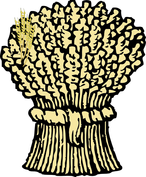 Food-wheat clip art - vector clip art online, royalty free ...
