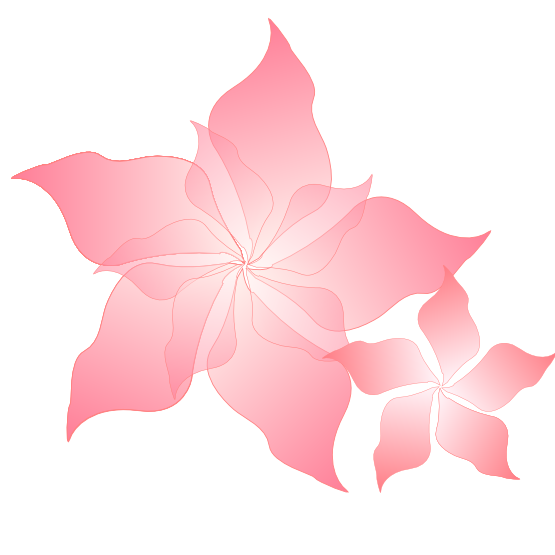 Pink Flower xochi.