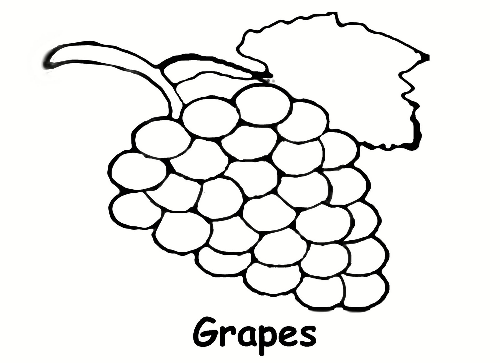 free clipart grapes black and white - photo #33