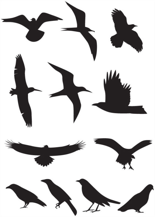 3 Sets Of Free Vector Birds Silhouettes | Vectino