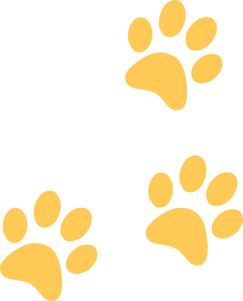 Gold Paw Clip art - Animated - Download vector clip art online