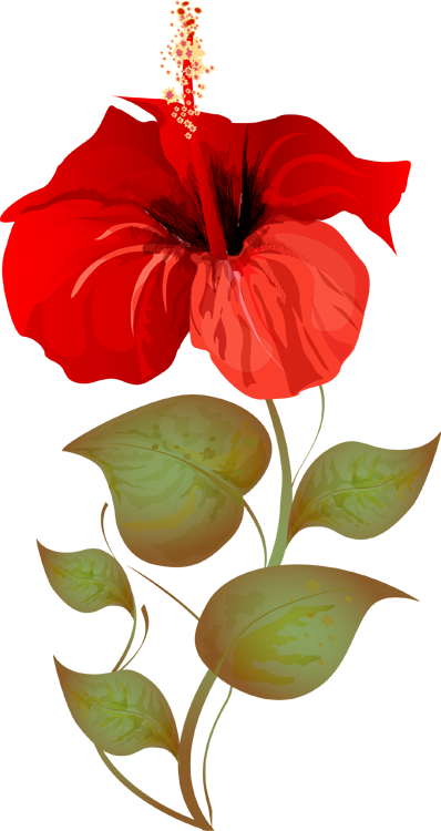 clipart of summer flowers - photo #10