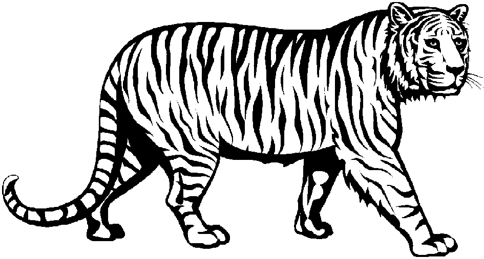 tiger clip art black and white - photo #2