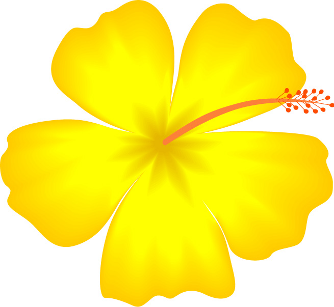 Hawaiian Flower Clip Art Borders - Free Clipart Images