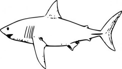 Shark Clip Art Black And White - Free Clipart Images