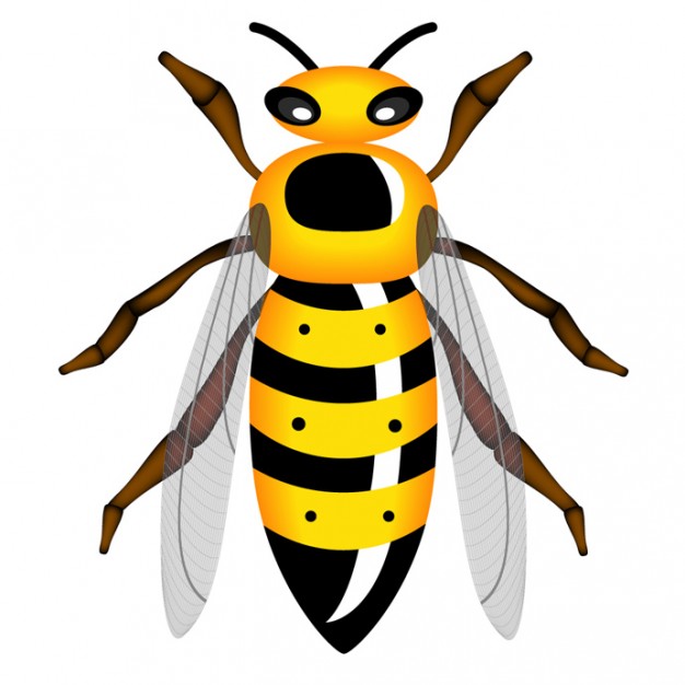 clipart of yellow jacket - photo #50