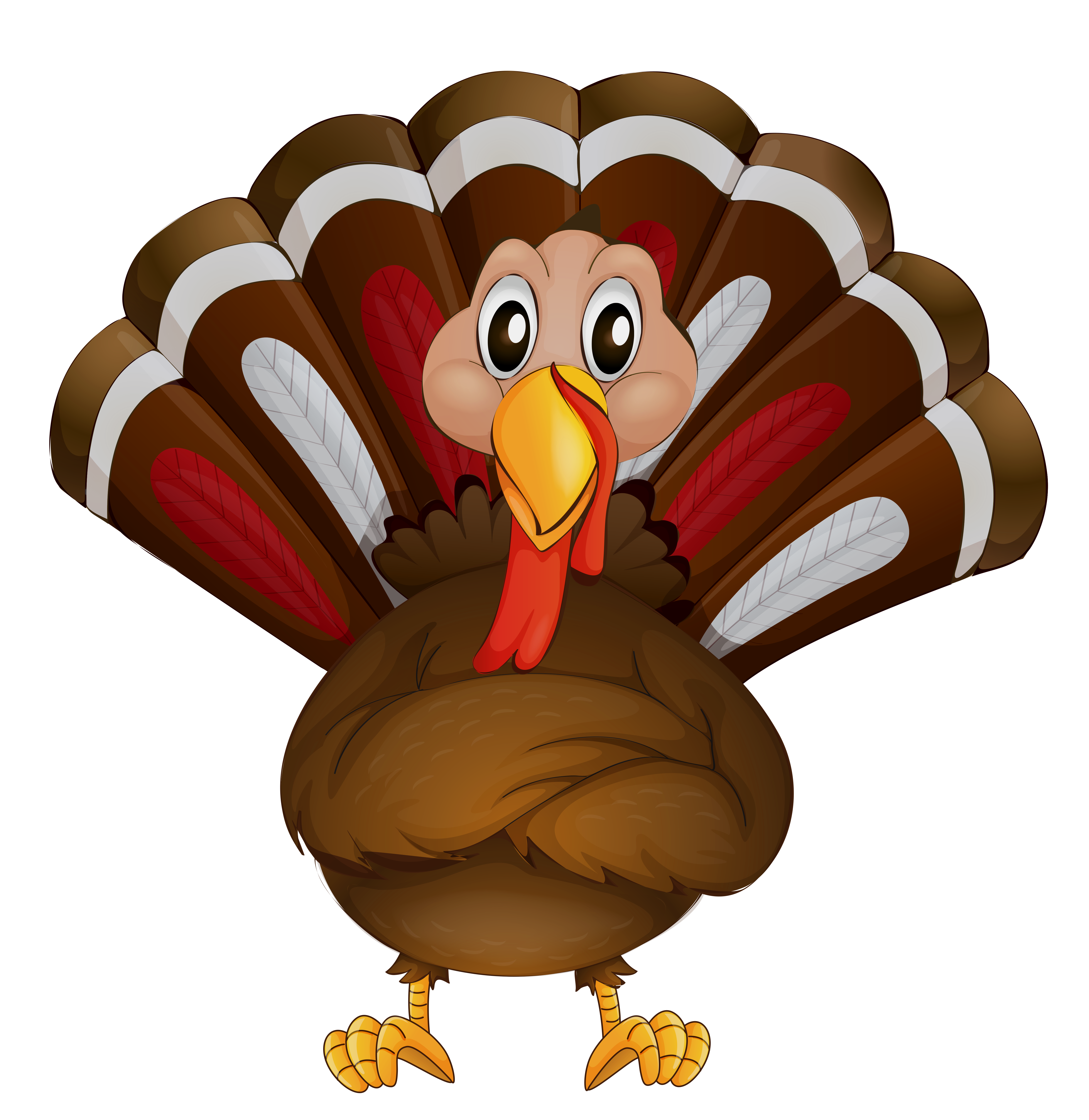 Thanksgiving fox ril pic