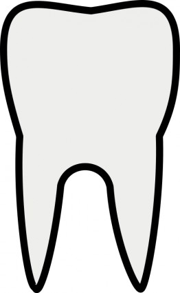 Tooth Outline Clip Art Teeth Clip Art