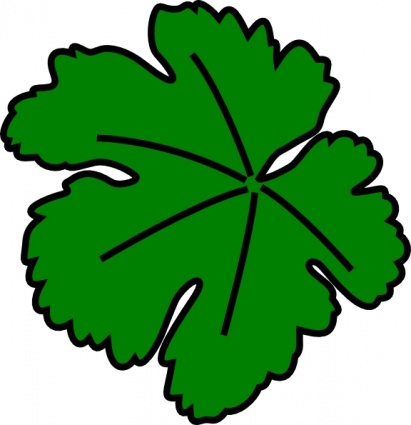 Vine-leaf clip art - Download free Other vectors