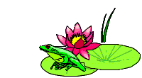 Frog on Lily Pad Animated GIF #2277 - Animate It!