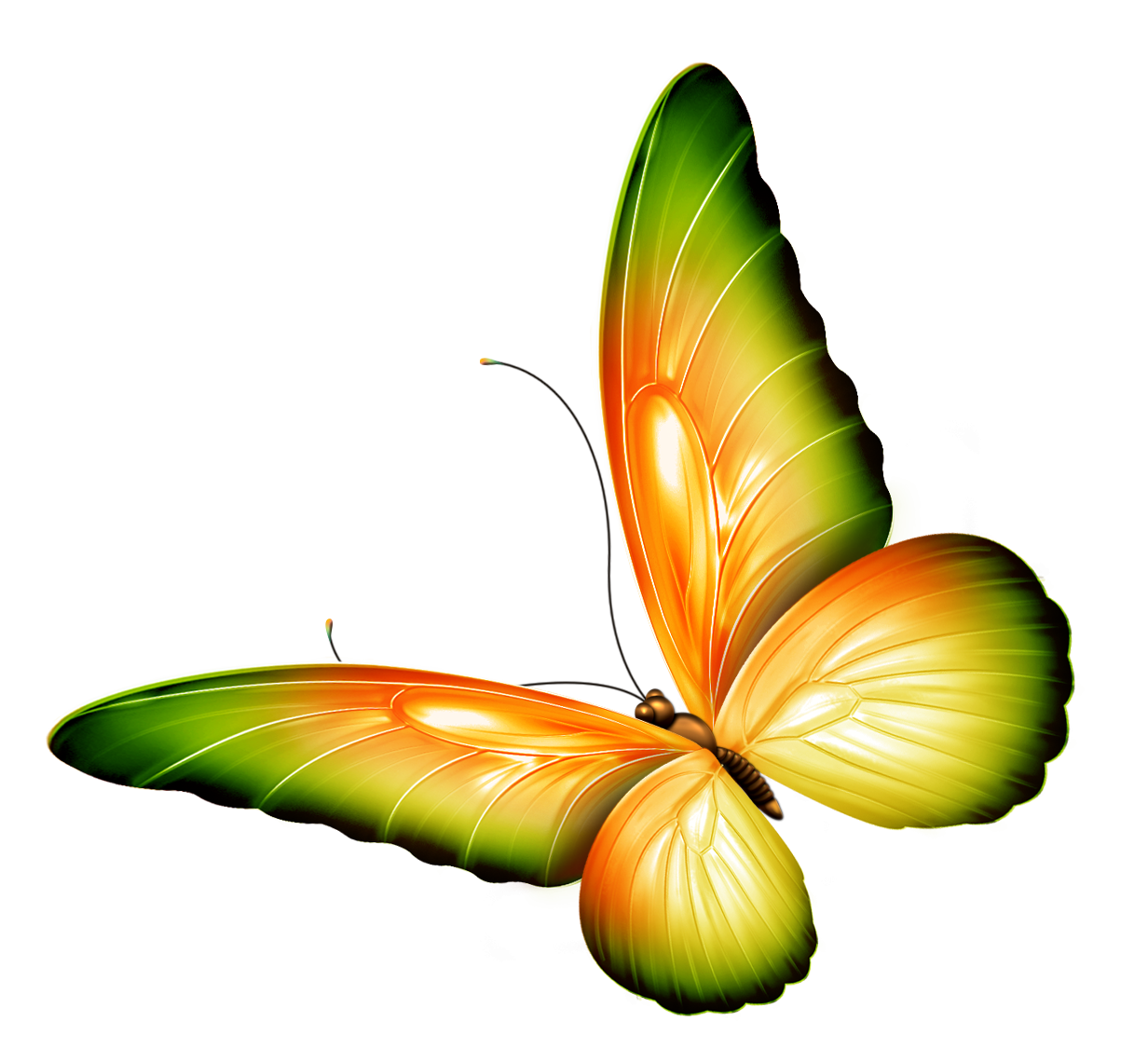 Flying Butterfly Clipart Png