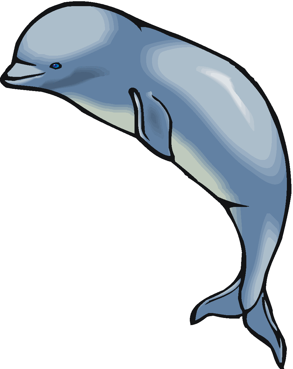 Animated Whale Clipart