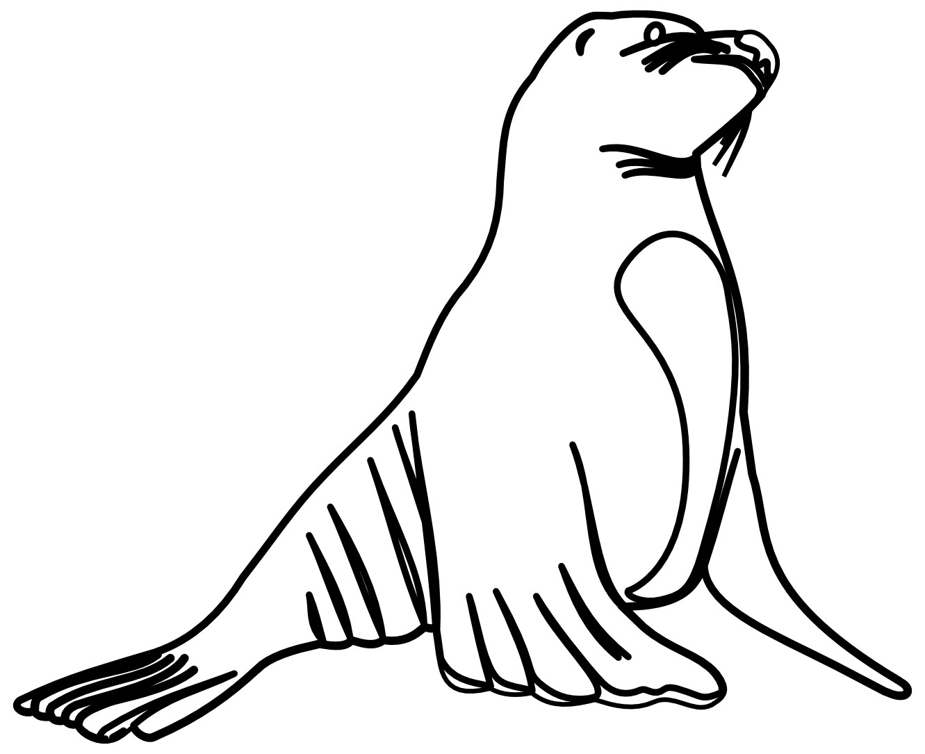 Printable Walrus Coloring Pages | Coloring Me