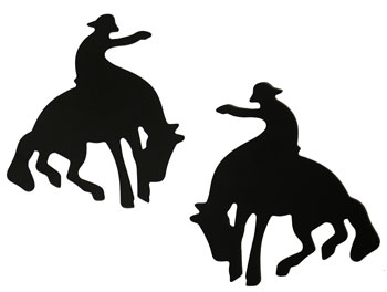 Saddles Tack Horse Supplies - ChickSaddlery.com Bucking Horse ...