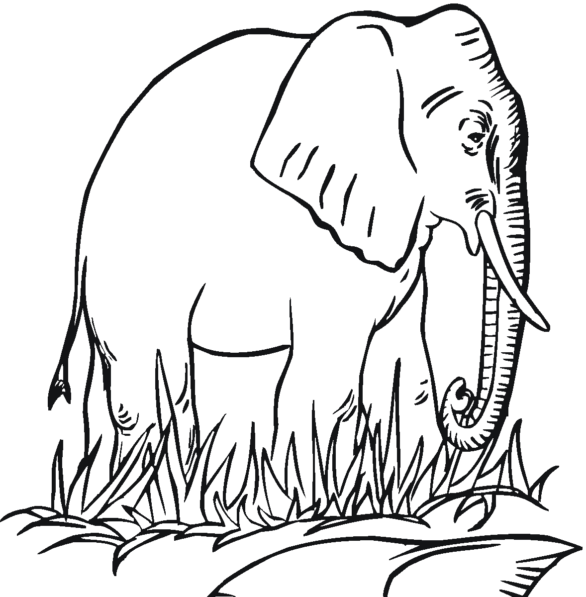 Elephant Coloring Page 2181 Free