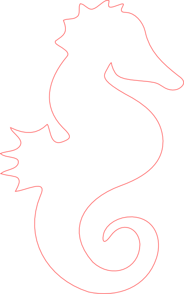 Seahorse Outline