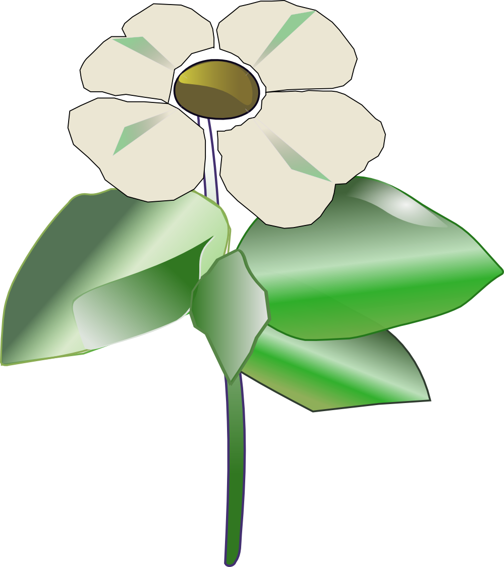 clip art dogwood flower - photo #42