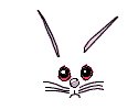 677 views rabbit-7.gif