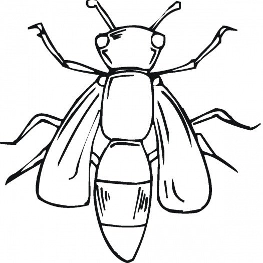 Bumble Bee coloring page Super Coloring. 