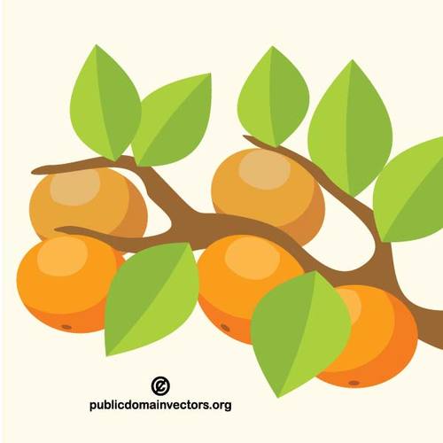 Orange tree | Public domain vectors