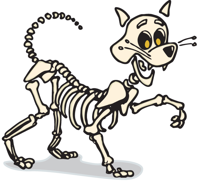 Dog skeleton clipart cartoon