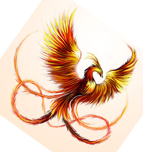 1000+ images about The Phoenix