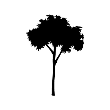Date Tree Vector Clipart - Free to use Clip Art Resource - ClipArt Best - ClipArt Best