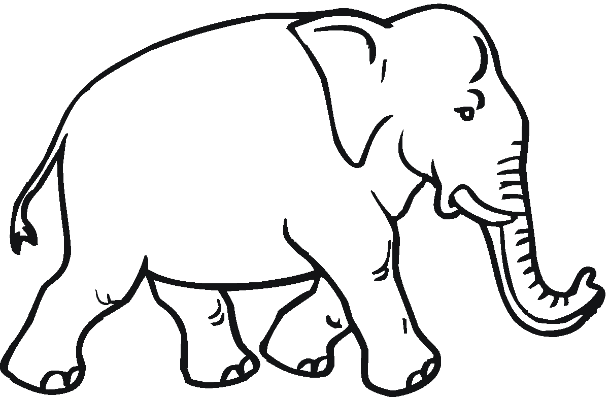 printable elephant coloring pages - Printable Coloring Pages Design