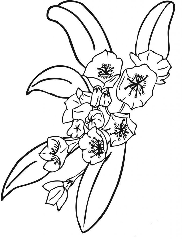 1000+ images about Flower Coloring Pages | Coloring ...
