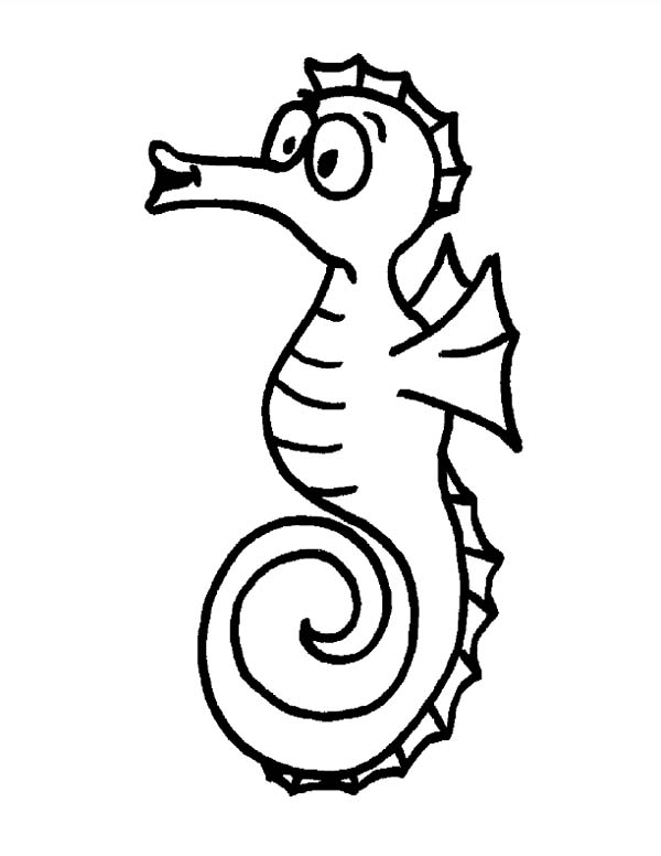 Funny Seahorse in Sea Animal Action Coloring Page - Free ...