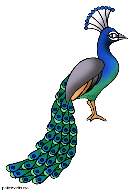 Peacock clip art free vector in open office drawing svg svg ...