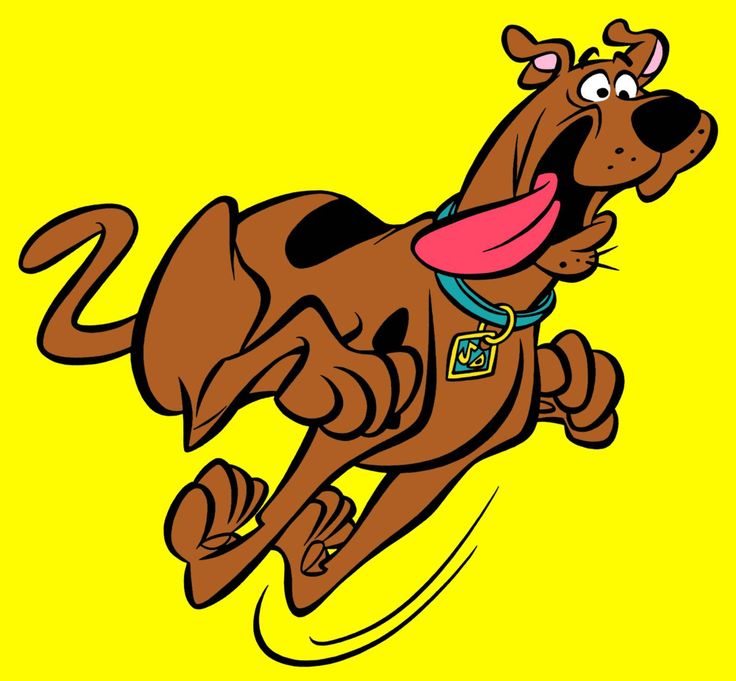 1000+ images about Scooby-Doo