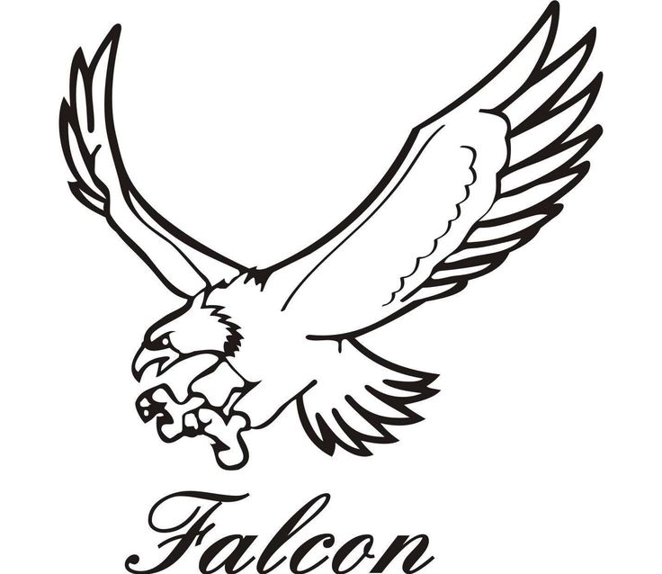 1000+ images about falcon