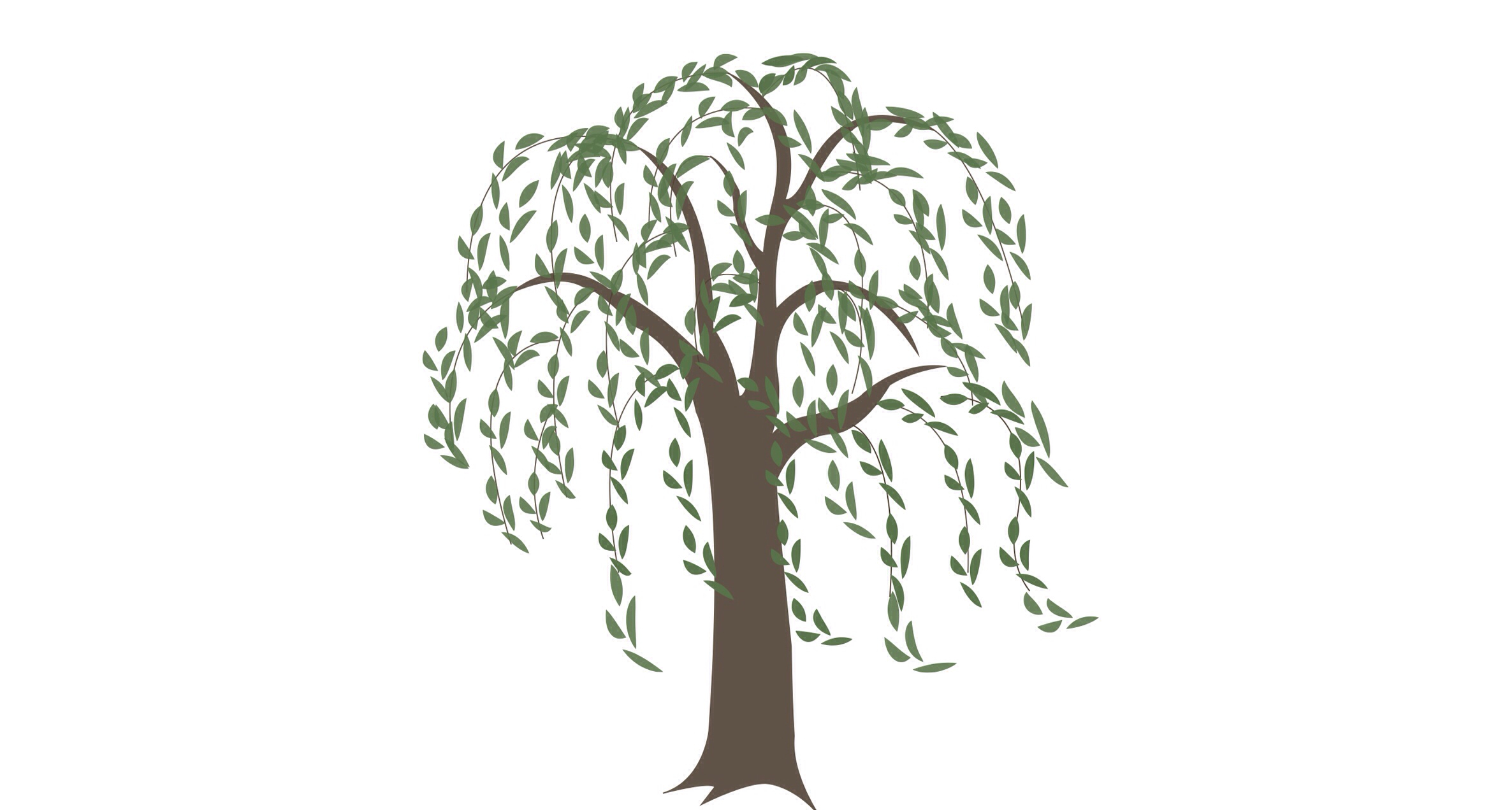 willow tree clip art images - photo #9