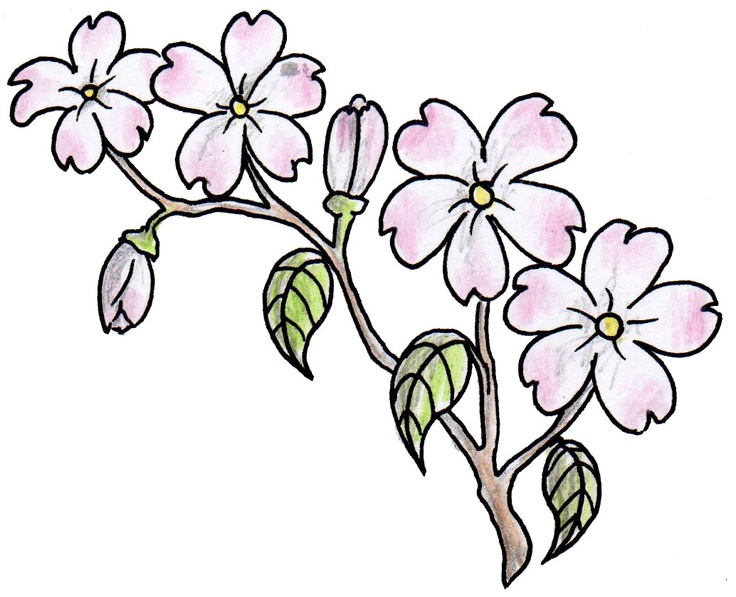 clipart flower tattoos - photo #20