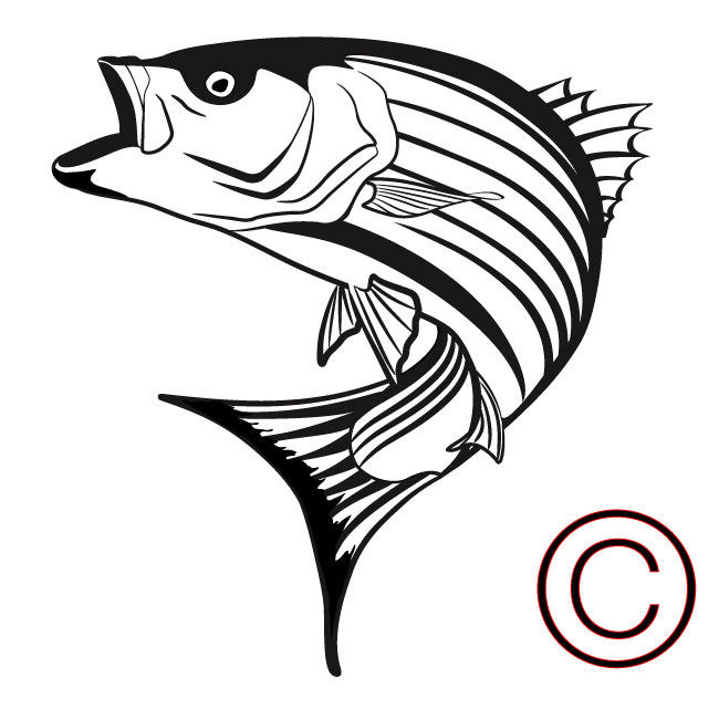 Free Bass Fishing Clipart Image - 10015, Jumping Bass Fish Clip ...